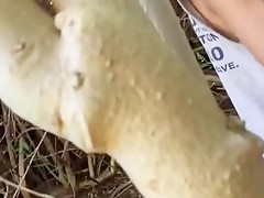 Best homemade Arab porn clip