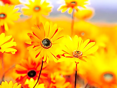 Exotic pornstar in hottest european, masturbation xxx clip