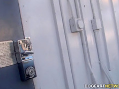 Busty blonde Ashley Reeves Sucks Big Black Cock