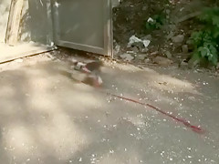 MyLesbians33 undressing Angel&Aneta