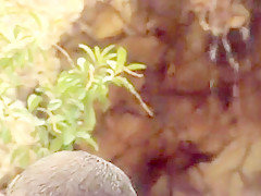 Sheila Takes It Assfucking  In The Tropics