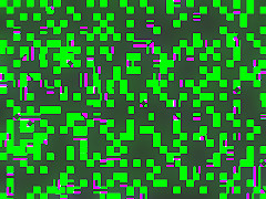 Bet Your Ass #4, Scene 6