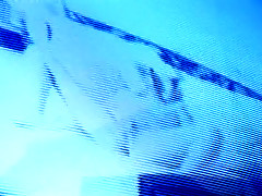 Coed Queen Rides The Enormous Pony Anally