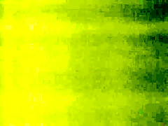 Crazy Hairy, Brunette adult clip