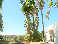 Horny Brunette, Cunnilingus porn scene