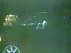 Fabulous Cumshot, Blonde porn movie