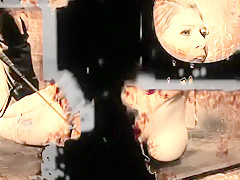 Amazing Blonde, Toys porn video