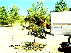 Exotic Threesome, Brunette adult movie