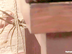 The Training of Raina Verene - TheTrainingofO