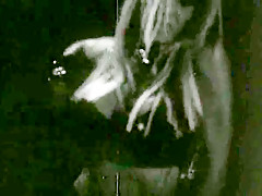 Crazy Hardcore, Big Tits porn clip