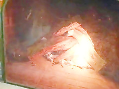 Best Cuckold, Unsorted adult video