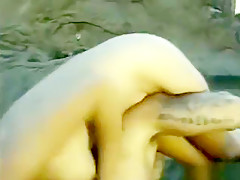 Bodacious brunette dame Donna Warner gets spit roasted outdoors