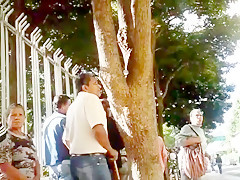 Culote leggins grises