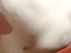 Pre cum licking blowjob