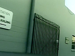 Trashy babes embark on a hardcore adventure to fulfill their fantasies