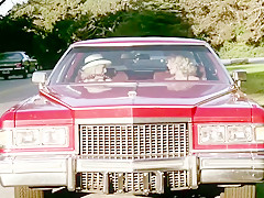 Erotic adventures of candy 1978