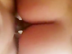 Shake that ass 2