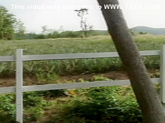 Asian babe in pigtails takes off her tiny shorts and panties outdoors