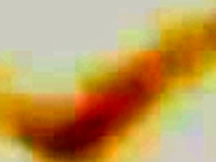 Two big ebony lesbians lick some snatch and strapon fuck each other