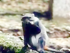 Tarzan-x: shame of jane - part 2