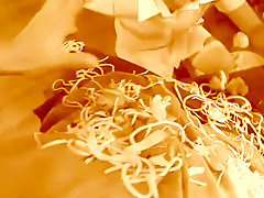 Incredible Japanese whore Rika Hoshimi in Exotic POV, Blowjob JAV video