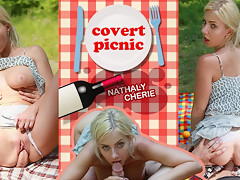 Covert Picnic