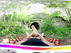 Covert Picnic