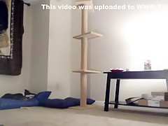 sn?wkitt?n5