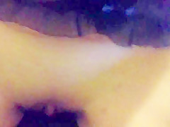 Bunny sucks rabbit  rabbit fucks bunny