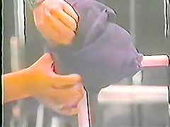 female v female oil wrestling 4