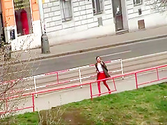 Dries fucks a hairy wet pussy