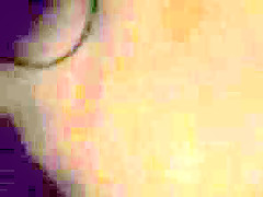 Paula petera argenta