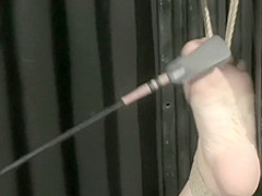 Busty blonde MILF is slave of the day getting her body worked over