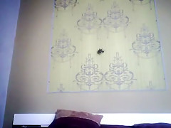 nice webcamgirl creammy pussy juice