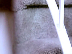 August Ames and Ryan Ryans relish the intense pleasures of lesbian sex