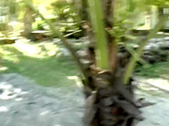 Bodacious young brunette Nataly works her narrow peach on a large dick