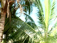 Bodacious young brunette Nataly works her narrow peach on a large dick