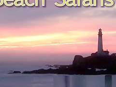 Rafian's Beach Safaris 23