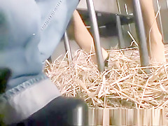 Prison Time Cut Short With Some Nice Femdom