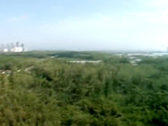 Ravishing young beauty with tiny tits is always eager to suck and fuck