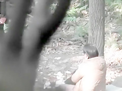Chinese Daddy Forest 11