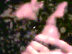 Erotic Obedience....