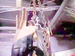 Bitter sweet persuasion