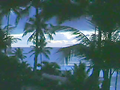 gostosissima Viviane