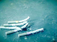 pussy funny play toys