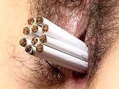 pussy funny play toys