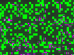 The Reporter Full movie