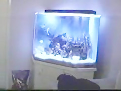 Taylor Hayes and Tom Byron