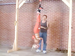 A Long Evening For Amanda