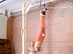 A Long Evening For Amanda